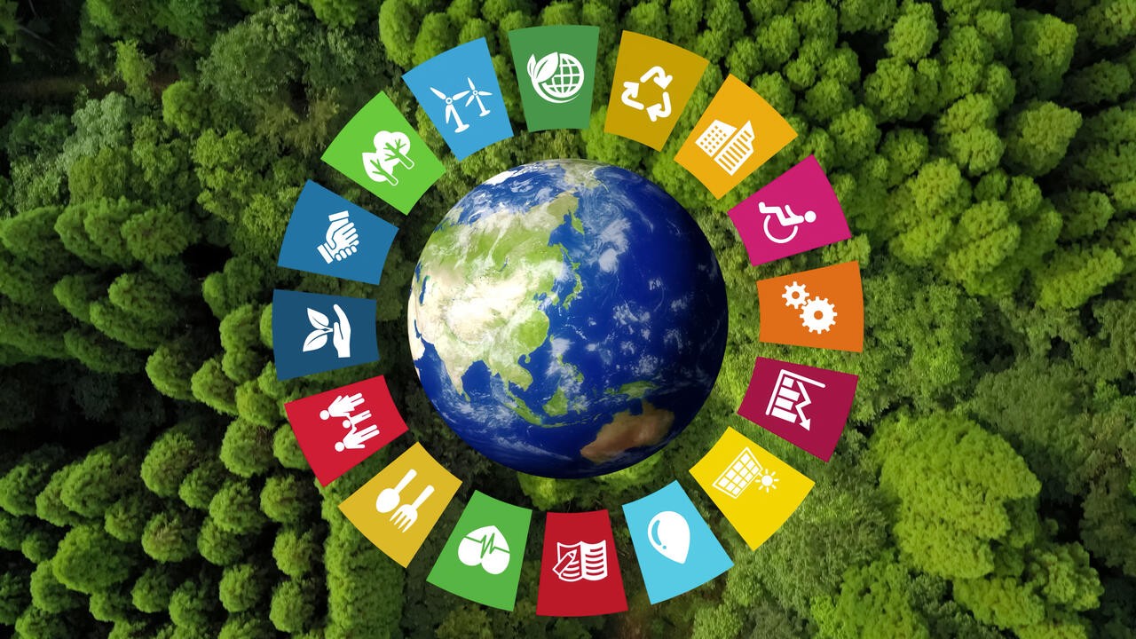 Sustainability